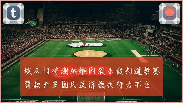 埃及门将谢纳维因袭击裁判遭禁赛罚款开罗国民反诉裁判行为不当