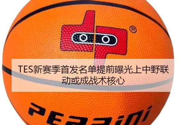 TES新赛季首发名单提前曝光上中野联动或成战术核心